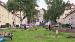 Screenshot vom Film "Wenn ein Garten wächst"