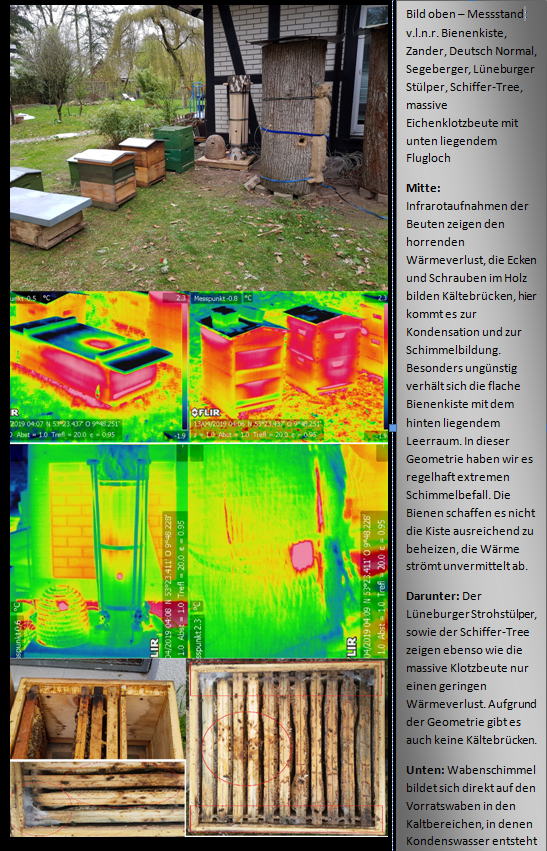 Wärmehaushalt eines Bienenstocks