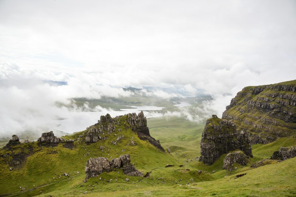 Rewilding Britain ist überall in Großbritanien aktiv. Foto von D Grom auf Unsplash.