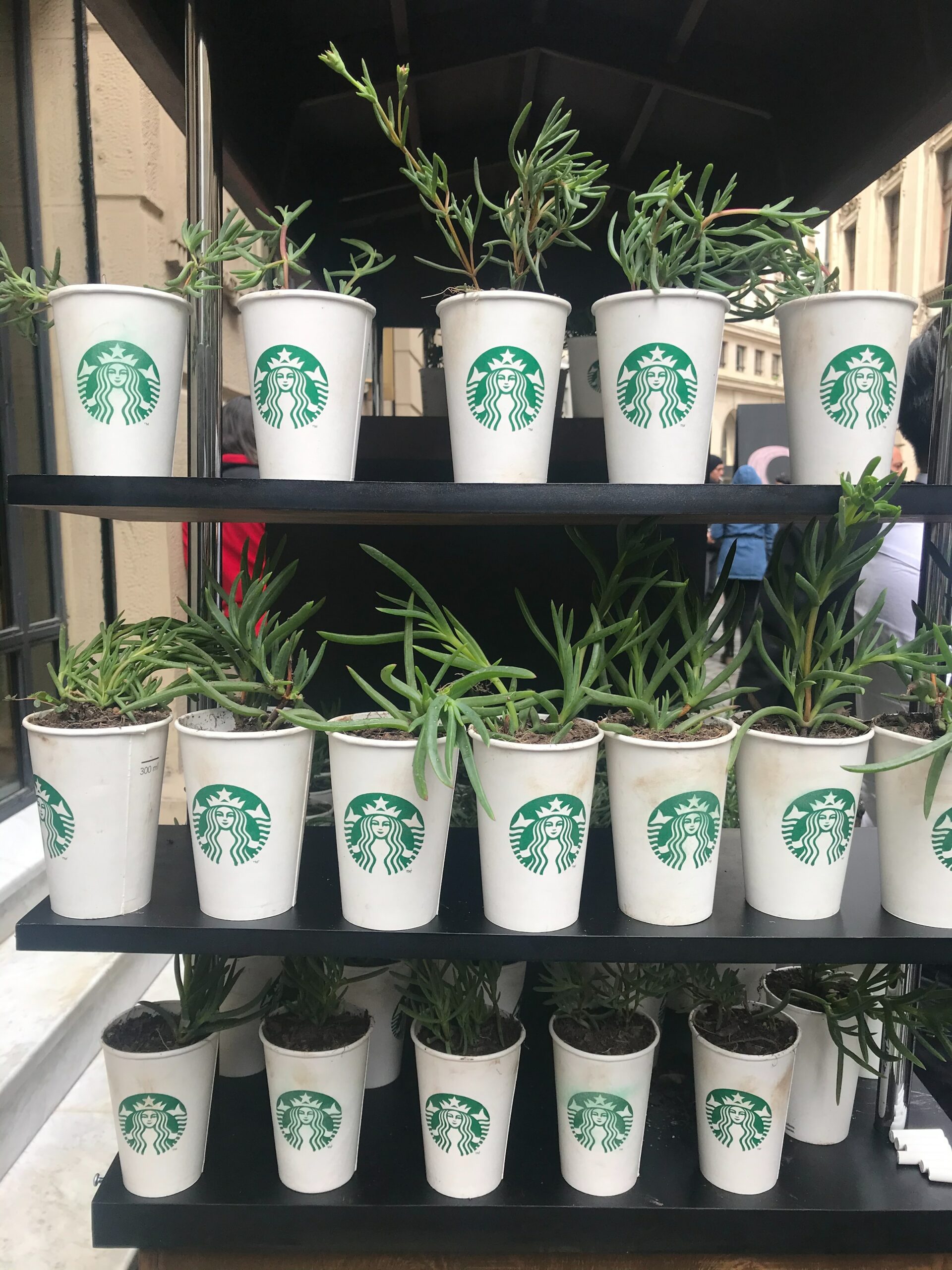 Starbucks setzt auf Nachhaltigkeit mit Mehrweg-Bechern für on-the-go