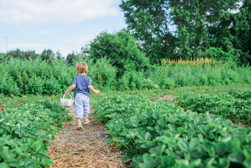 Kinder lernen Gemüse kommt vom Acker und bekommen einen ganz anderen Bezug zum Essen. Foto von Paige Cody auf Unsplash