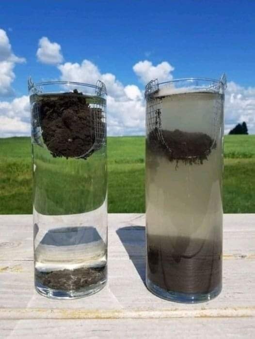 Netzfund: Bodenfruchtbarkeit entsteht wenn keine Mineralien ausgewaschen werden.